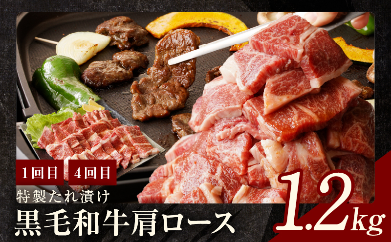 焼肉定期便 総量6.8kg（肩ロース／牛タン／牛ハラミ）全6回 丸善味わい加工【毎月発送コース】 099Z242