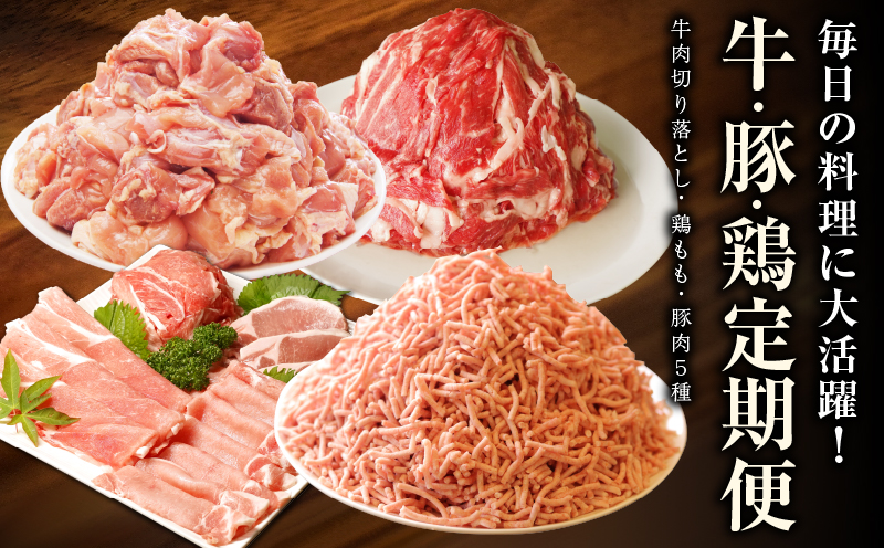 牛・豚・鶏 定期便 7種 総量11.4kg（牛肉切り落とし／カット済み 鶏もも／豚肉5種 食べ比べ）全6回 丸善味わい加工【毎月発送コース】 099Z244