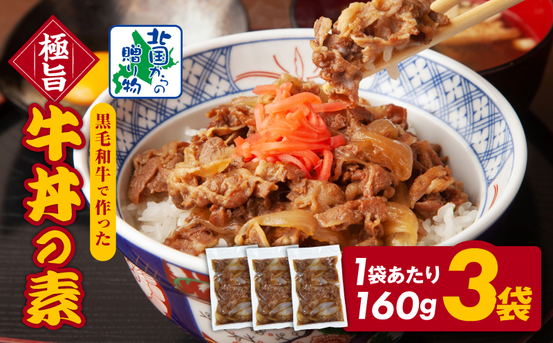 【黒毛和牛】極旨 牛丼の素 160g×3袋【小分け 時短 簡単便利 レンチン 夜食 つまみにもオススメ 北国からの贈り物】 G1334