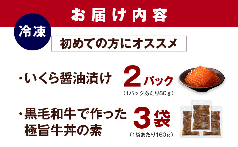 【初めての方にオススメ】イクラ醤油漬け80g×2パック＆黒毛和牛で作った極旨牛丼の素160g×3袋 セット G1338