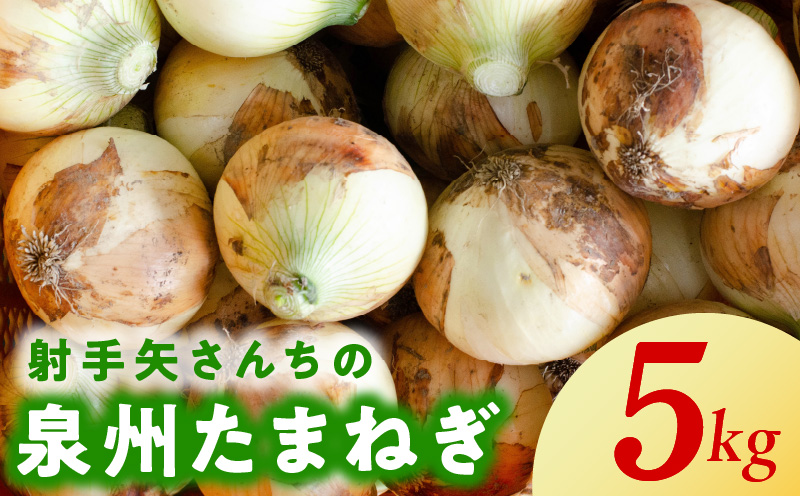 射手矢さんちの泉州たまねぎ 5kg【玉ねぎ タマネギ 玉葱 甘い 野菜 国産 訳あり サイズ不揃い 期間限定 オニオン スライス サラダ カレー シチュー バーベキュー BBQ 肉じゃが】 G1497