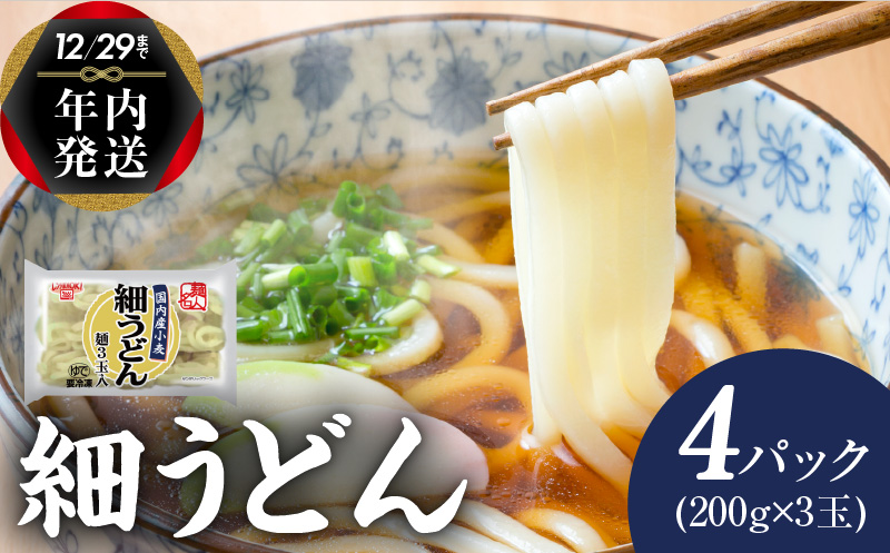 【年内発送】 麺名人 国産小麦 細うどん 12食 個包装 099H2511y