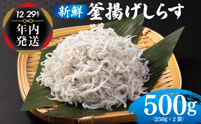 【年内発送】 新鮮 釜揚げしらす 合計 500g 小分け 250g×2P 099H3022y