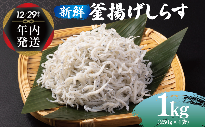 【年内発送】 新鮮 釜揚げしらす 合計 1kg 小分け 250g×4P 099H3023y