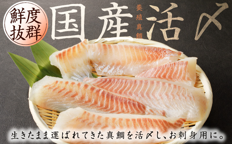 人気海鮮定期便 サーモン／真鯛 食べ比べ 全4回【毎月配送コース 小分け 訳あり サイズ不揃い 刺身 海鮮丼 人気 オススメ 冷凍】】