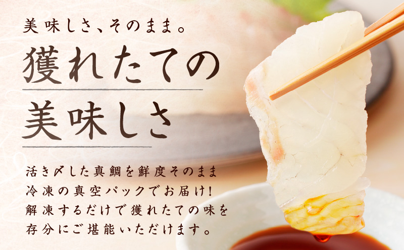 人気海鮮定期便 サーモン／真鯛 食べ比べ 全4回【毎月配送コース 小分け 訳あり サイズ不揃い 刺身 海鮮丼 人気 オススメ 冷凍】】