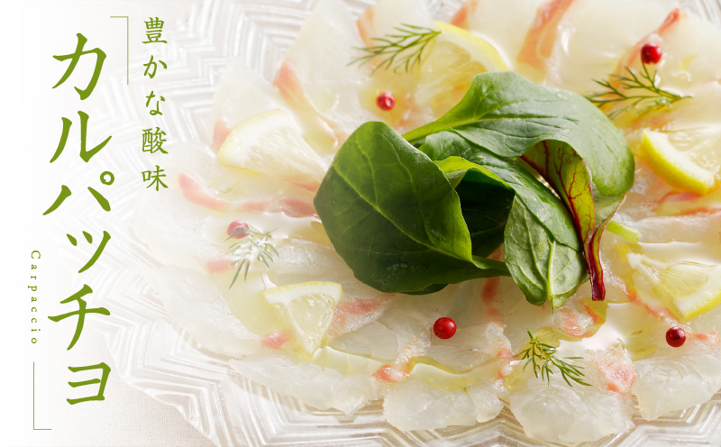 人気海鮮定期便 サーモン／真鯛 食べ比べ 全4回【毎月配送コース 小分け 訳あり サイズ不揃い 刺身 海鮮丼 人気 オススメ 冷凍】】