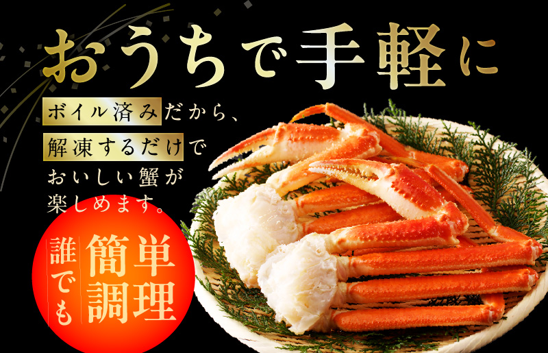 【年内発送】【特別寄附金額】カニ ボイルズワイ蟹 800g（400g×2肩）約2-3人前 昆布仕立て G1204y