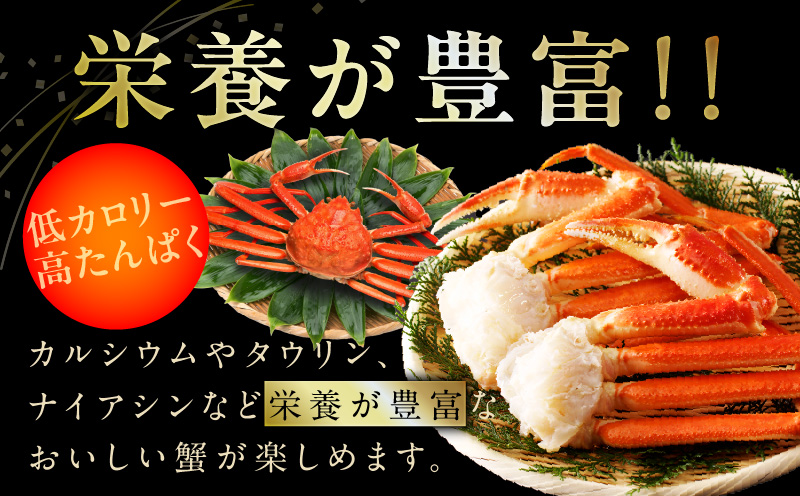 【年内発送】【特別寄附金額】生ずわい蟹 2kg 5Lサイズ 4肩前後 昆布仕立て G1211y