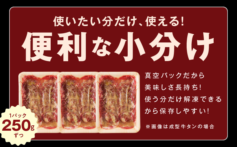 ねぎ塩 牛タン 食べ比べセット 合計 1kg（牛タン 500g／成型牛たん 500g）【焼肉用 焼くだけ 小分け BBQ やきにく】