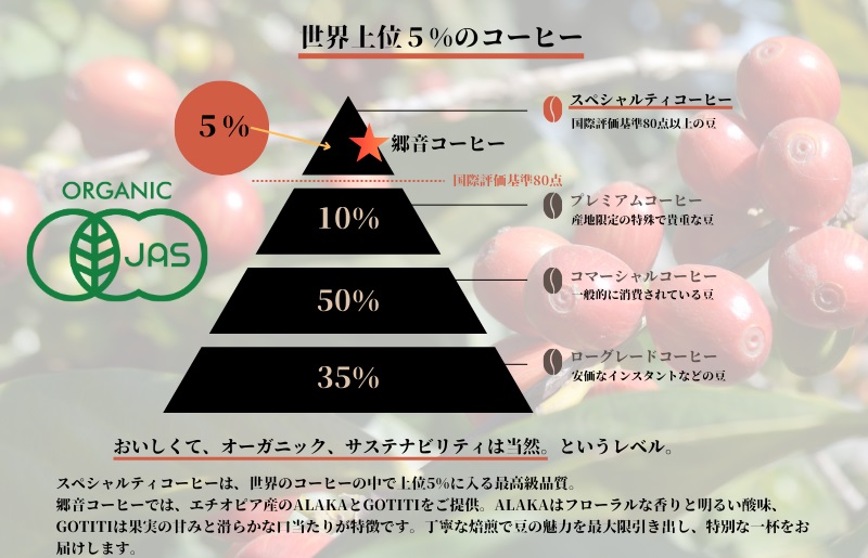 スペシャルティコーヒー焙煎豆 200g×2種 （中浅煎り／中深煎り） 【飲み比べ 珈琲 COFFEE コーヒー オリジナル キャンプ アウトドア】 G1399