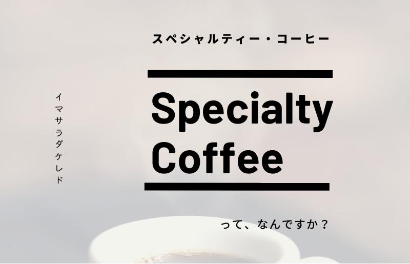 スペシャルティコーヒー焙煎豆 浅煎り 300g 定期便 全12回 12か月【毎月配送 珈琲 COFFEE コーヒー オリジナル キャンプ アウトドア】