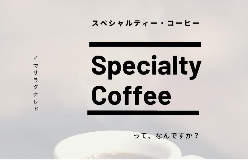 スペシャルティコーヒー焙煎豆 中深煎り 300g 定期便 全12回 12か月【毎月配送コース】 G1406