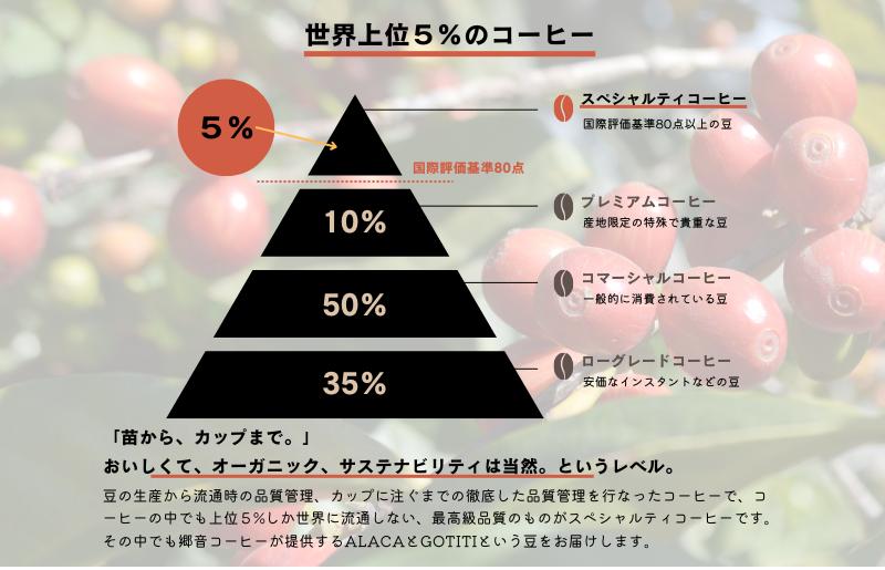 スペシャルティコーヒー焙煎豆 中深煎り 300g 定期便 全12回 12か月【毎月配送コース】 G1406