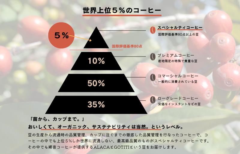 スペシャルティコーヒー焙煎豆 浅煎り 300g 定期便 全6回【2か月に1回配送コース】 G1408