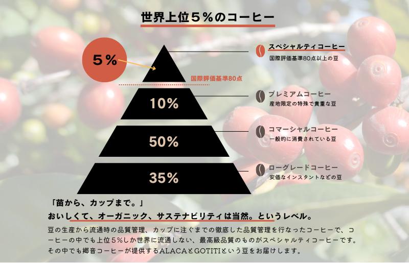 スペシャルティコーヒー焙煎豆 中深煎り 300g 定期便 全6回【2か月に1回配送コース】 G1410