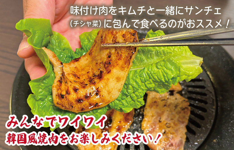 【年内発送】サムギョプサル 約1.1kg（550g×2P）プルコギ風味 焼肉 BBQ デジカルビ within2024 G1083y