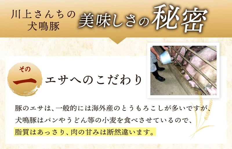 【泉佐野ブランド豚】犬鳴豚の小間切り落とし 1.4kg（約350g×4パック）×6回 総量8.4kg【国産 豚肉 ぶたにく 定期便 犬鳴ポーク 小分け 普段使い】