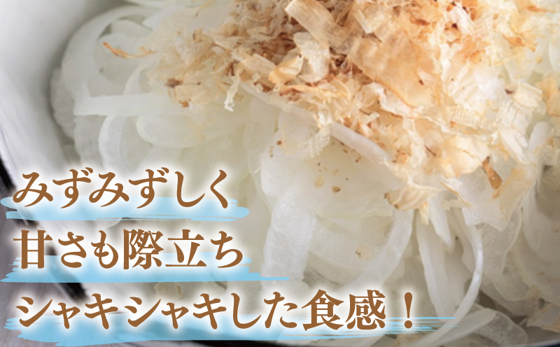 縲仙郁。御コ育エ縲第ウ牙キ槭◆縺セ縺ュ縺 3.5kg縲占カ讌オ譌ゥ逕 邇峨ュ縺 霎イ螳カ逶エ騾 譁ー魄ョ 驥手除 繧縺輔> 譛滄俣髯仙ョ壹