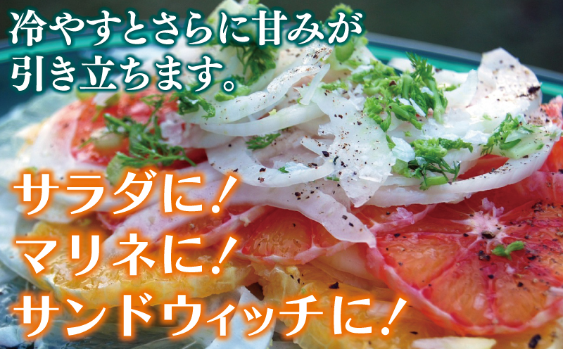 縲仙郁。御コ育エ縲第ウ牙キ槭◆縺セ縺ュ縺 3.5kg縲占カ讌オ譌ゥ逕 邇峨ュ縺 霎イ螳カ逶エ騾 譁ー魄ョ 驥手除 繧縺輔> 譛滄俣髯仙ョ壹