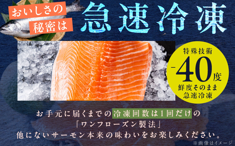 訳あり 計1.4kg！ アトランティックサーモン 200g×2パック＆訳あり 鮭ハラス 200g×5P 小分け 鮭 昆布塩加工 はしっこ サーモン 大トロ 腹ヒレ肉 北国からの贈り物 G1443