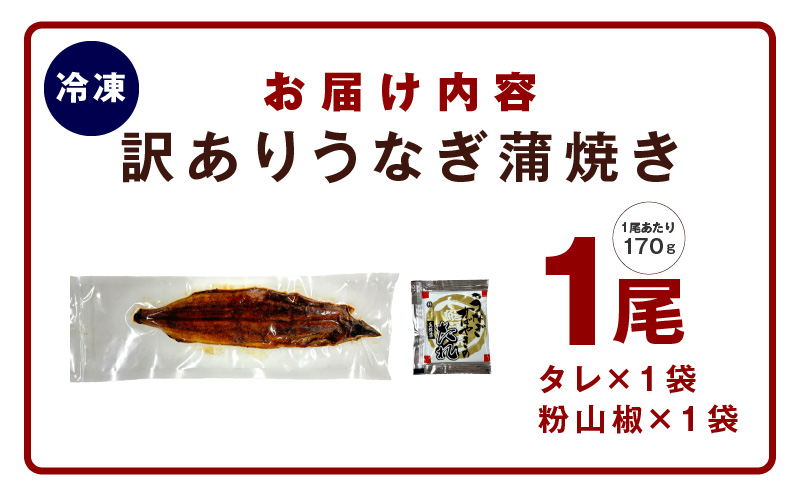 【訳あり】数量限定！！老舗「五郎藤」関西風地焼き 国産有頭旨鰻 170g前後×1尾 うなぎ ウナギ 蒲焼き 炭火 G1446