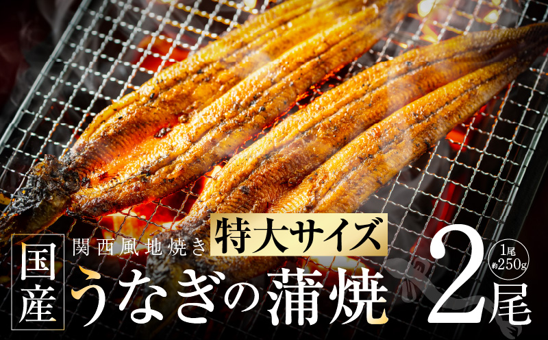 【ビッグサイズ】老舗五郎藤 国産 旨鰻 250g×2尾【関西風地焼き 特大 うなぎ ウナギ 蒲焼き 炭火 数量限定 有頭 北国からの贈り物 厳選】 G1481