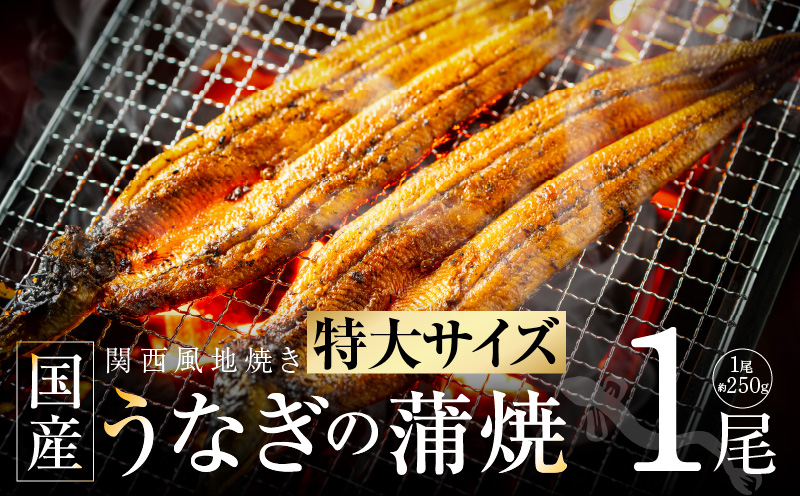 超ビッグサイズ！数量限定！老舗【五郎藤】 関西風地焼き 国産有頭旨鰻 250g×1尾 特大 うなぎ ウナギ 蒲焼き 炭火 G1482