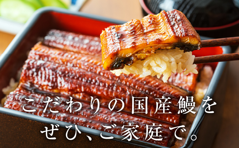 超ビッグサイズ！数量限定！老舗【五郎藤】 関西風地焼き 国産有頭旨鰻 250g×1尾 特大 うなぎ ウナギ 蒲焼き 炭火 G1482