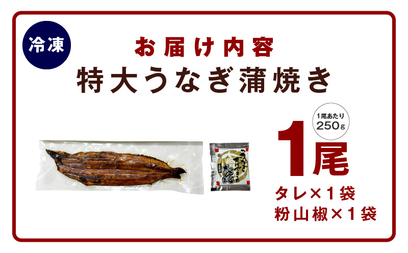 超ビッグサイズ！数量限定！老舗【五郎藤】 関西風地焼き 国産有頭旨鰻 250g×1尾 特大 うなぎ ウナギ 蒲焼き 炭火 G1482