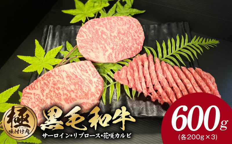 黒毛和牛 サーロイン/リブロース/花咲カルビ ステーキ 食べ比べセット 合計600g（200g×3種）【極味付け肉】 CFX0041