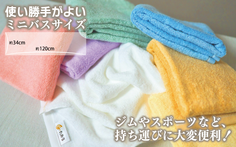 【e-たおる】ミニバスタオル 3枚（ブルー）34cm×120cm 【泉州タオル 国産 吸水 普段使い シンプル 日用品】
