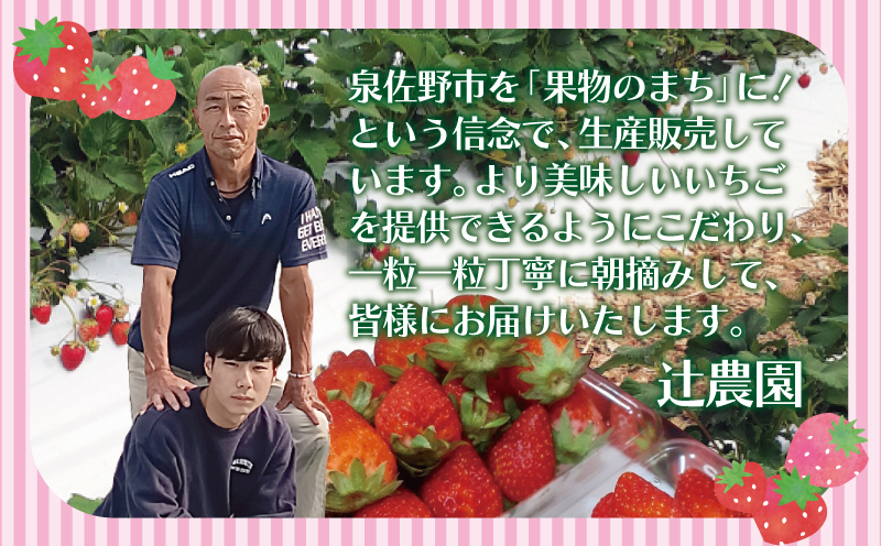 【先行予約】朝摘み 完熟いちご 2パック【化粧箱入り 苺 無添加 自然素材 フルーツ イチゴ 高評価 数量限定】