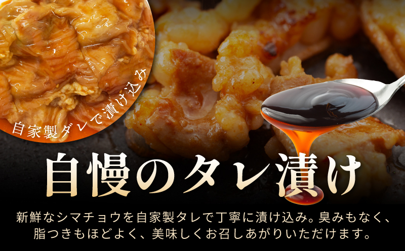 シマチョウ タレ漬 900g(300g×3パック) テッチャン シマ腸 小分け 時短 焼くだけ 簡単