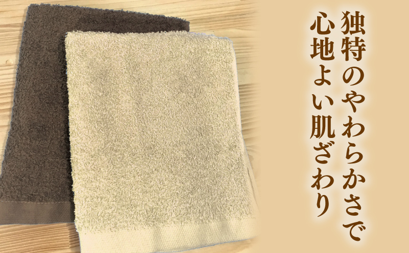 ナチュレル 泉州ハンドタオル10枚（ブラウン系）【泉州タオル 国産 吸水 普段使い 無地 シンプル 日用品 家族 ファミリー】