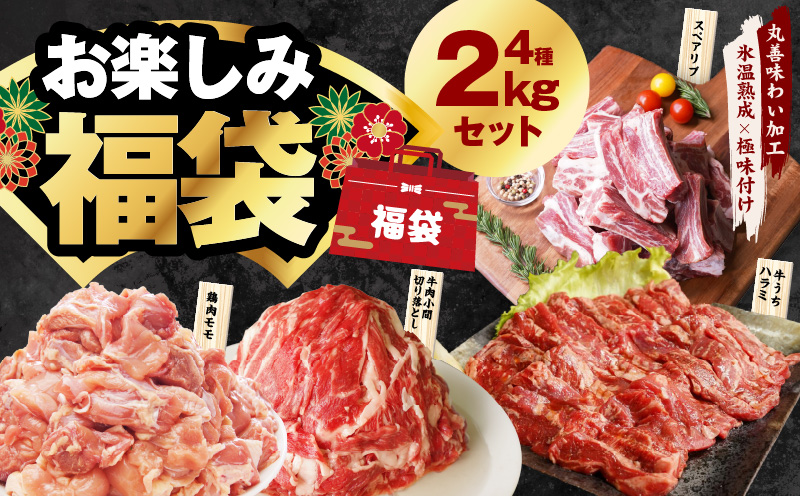 お楽しみ福袋 4種 2kgセット（牛肉 切り落とし／牛ハラミ／豚肉／鶏肉）【氷温熟成×極味付け】 mrz0090