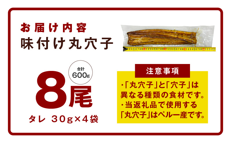 【無地熨斗】老舗五郎藤の味付け 丸穴子 2尾×4パック 計8尾（8人前）小分けパック 計600g前後 ペルー産 マルアナゴ まるあなご G1567-1