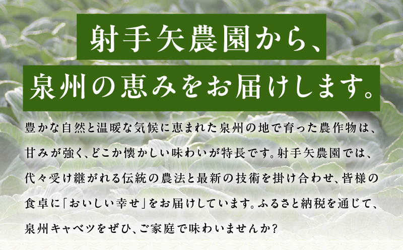 【先行予約】射手矢さんちの泉州キャベツ 10kg【新鮮 野菜 泉佐野産 やさい 射手矢農園 高評価 数量限定 TVで紹介！】