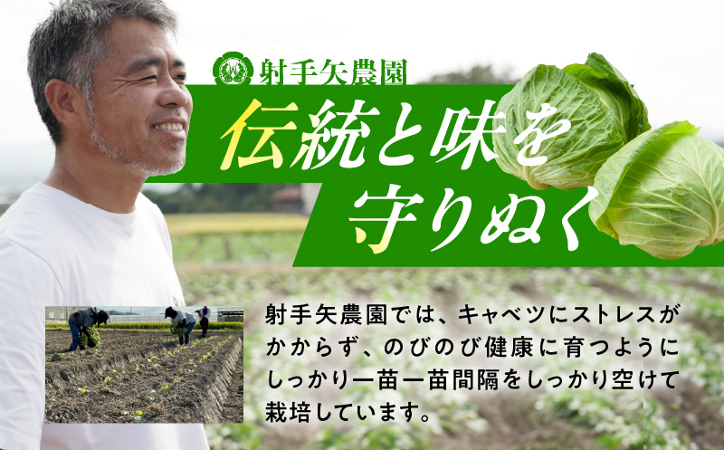 【先行予約】射手矢さんちの泉州キャベツ 20kg【新鮮 野菜 泉佐野産 やさい 射手矢農園 高評価 数量限定 TVで紹介！】