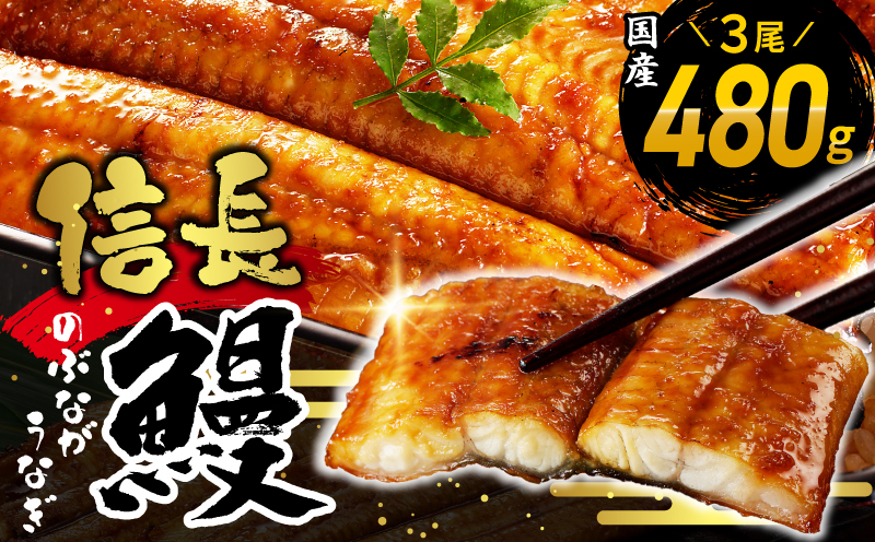 【数量限定】国産 信長鰻 160g×3尾【大サイズ 合計480g 蒲焼き 無頭 うなぎ 鰻 ウナギ ひつまぶし タレ 冷凍】 015B360