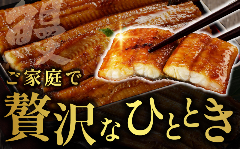 【数量限定】国産 信長鰻 160g×3尾【大サイズ 合計480g 蒲焼き 無頭 うなぎ 鰻 ウナギ ひつまぶし タレ 冷凍】 015B360