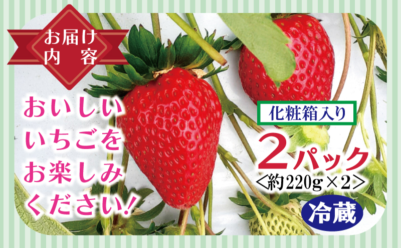 【特別規格】朝摘み完熟いちご 2パック【化粧箱入り 220g×2P 苺 イチゴ フルーツ 果物】 G1631