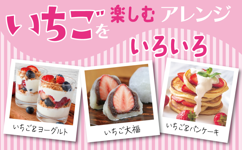 【特別規格】朝摘み完熟いちご 2パック【化粧箱入り 200g×2P 苺 イチゴ フルーツ 果物】