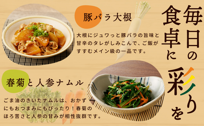 旬の新鮮 野菜セット（15種以上）定期便 全6回 おまかせ ピクルスの素付き ファミリー向け いずみピクルス NSW【毎月配送コース 大阪 泉佐野 大阪府 泉佐野市】