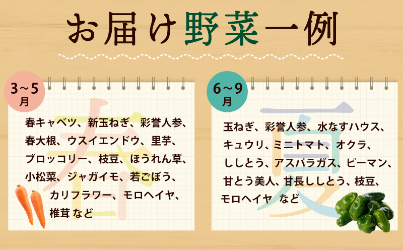 旬の新鮮 野菜セット（15種以上）定期便 全6回 おまかせ ピクルスの素付き ファミリー向け いずみピクルス NSW【毎月配送コース 大阪 泉佐野 大阪府 泉佐野市】