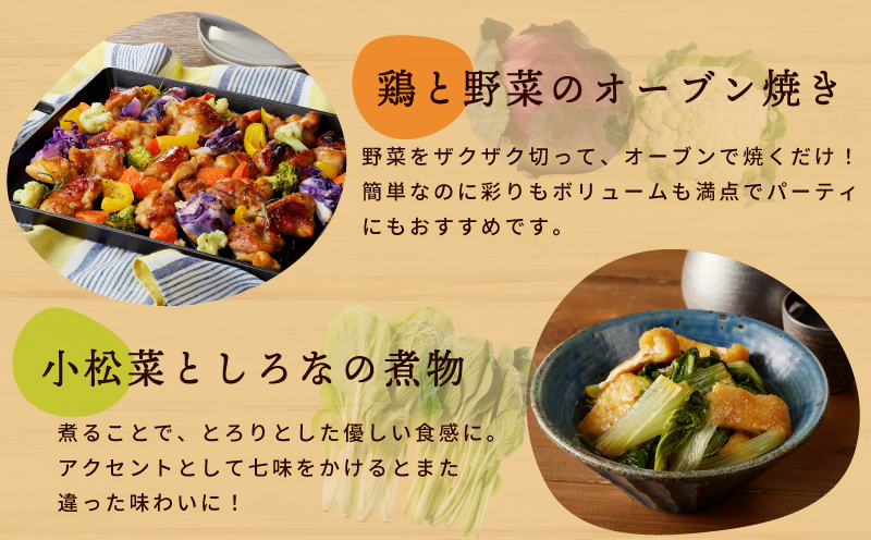旬の新鮮 野菜セット（7種以上）定期便 全4回 おまかせ ピクルスの素付き ファミリー向け いずみピクルス NSW【毎月配送コース 大阪 泉佐野 大阪府 泉佐野市】