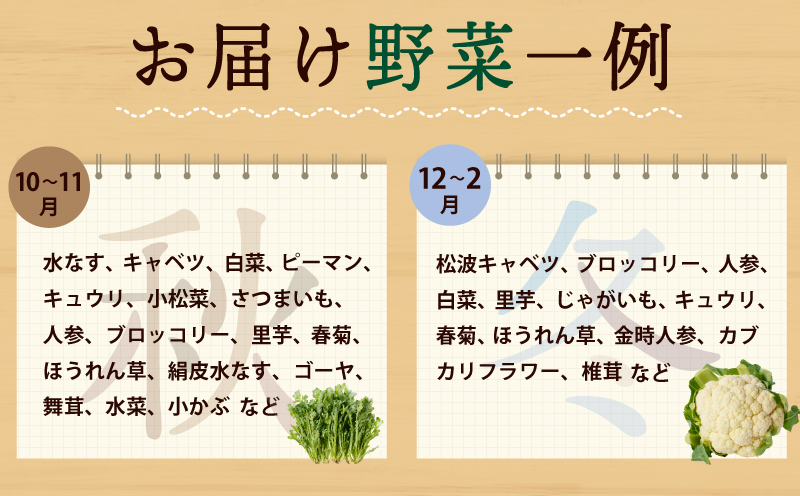 旬の新鮮 野菜セット（15種以上）定期便 全4回 おまかせ ピクルスの素付き ファミリー向け いずみピクルス NSW【毎月配送コース 大阪 泉佐野 大阪府 泉佐野市】