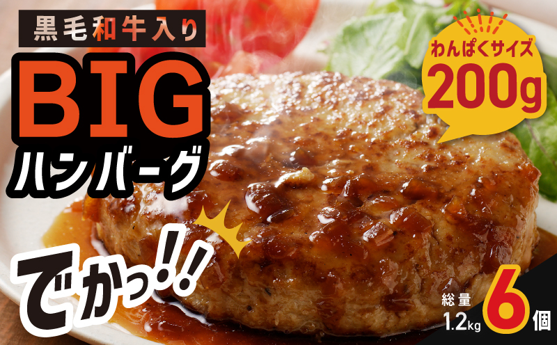 黒毛和牛入り BIGハンバーグ 200g×6個 G1638