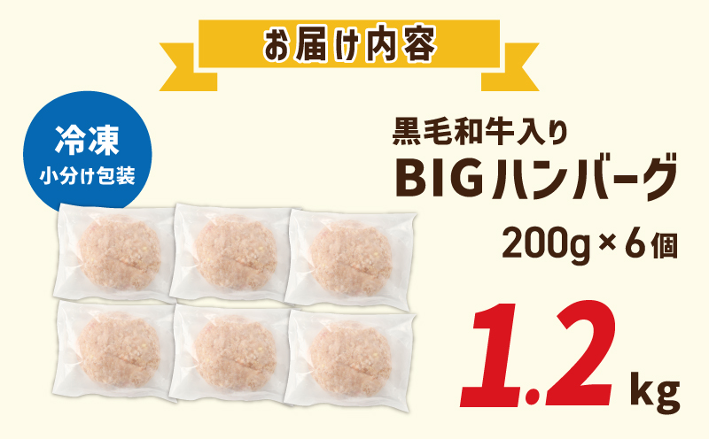 黒毛和牛入り BIGハンバーグ 200g×6個 G1638