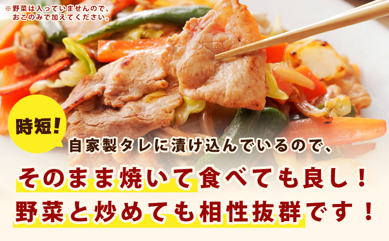 国産 豚スライス(豚もも) タレ漬 1kg(250g×4パック) 小分け 時短 焼くだけ 簡単